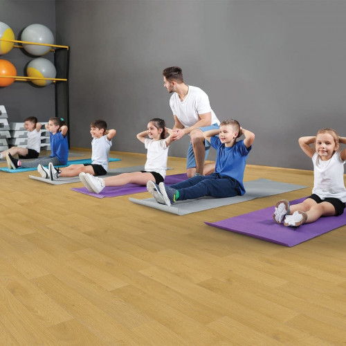 Линолеум BIGFOOT 4.3/0.6 FALCO 22